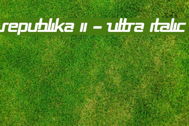 Republika II - Ultra Italic Example 2