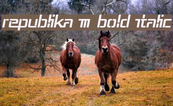 Republika III Bold Italic Example 1