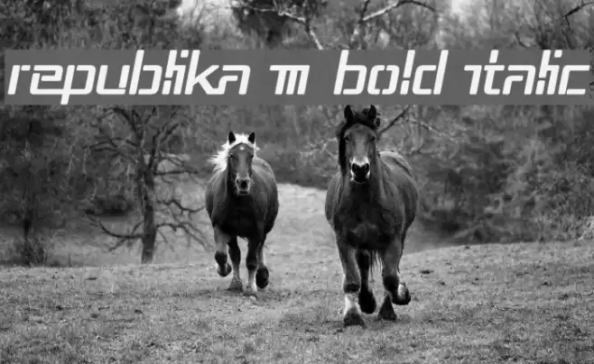 Republika III Bold Italic Font examples