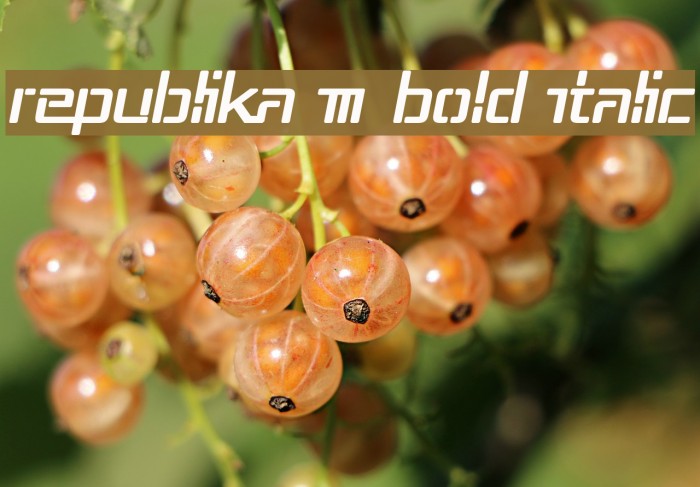 Republika III Bold Italic Example 2