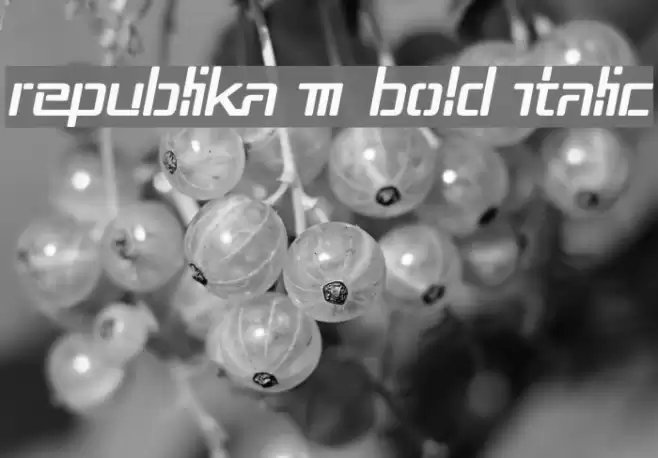 Republika III Bold Italic Font examples
