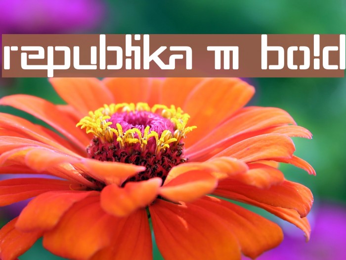 Republika III Bold Font examples
