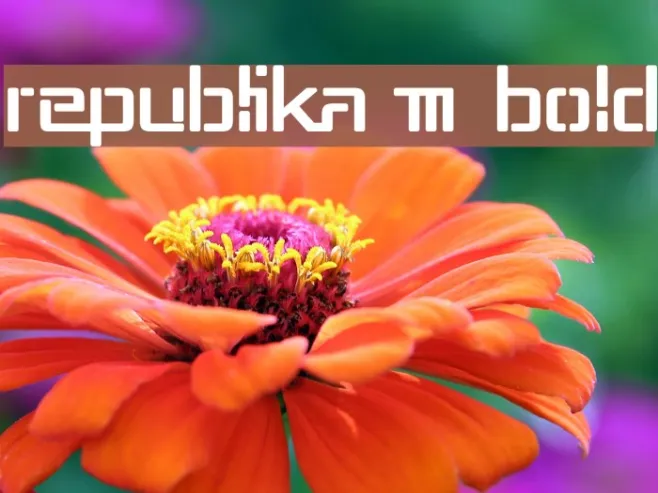 Republika III Bold Example 1