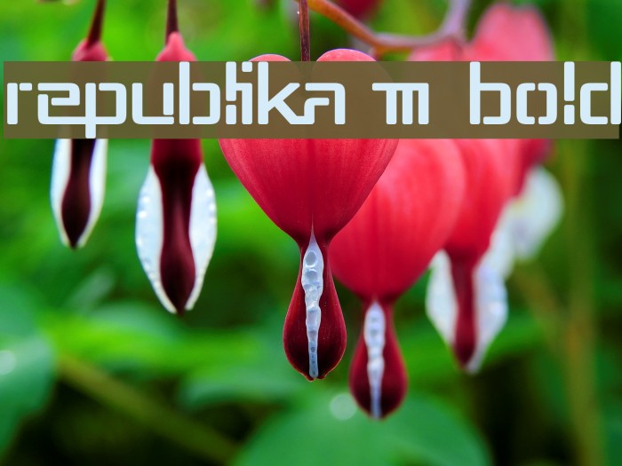 Republika III Bold Font examples