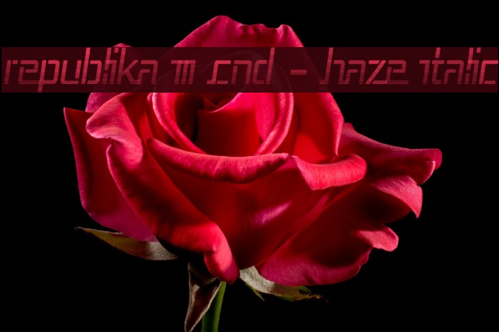 Republika III Cnd - Haze Italic Font examples