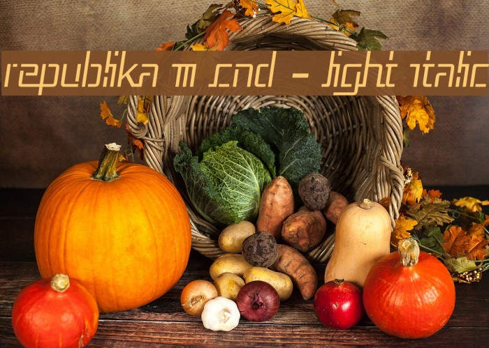 Republika III Cnd - Light Italic Example 2