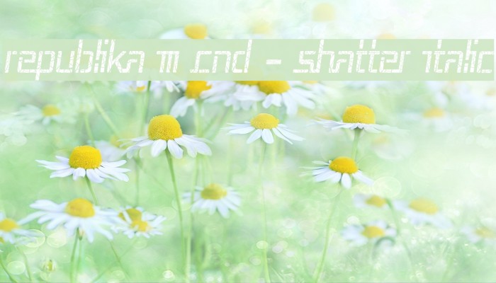 Republika III Cnd - Shatter Italic Font examples