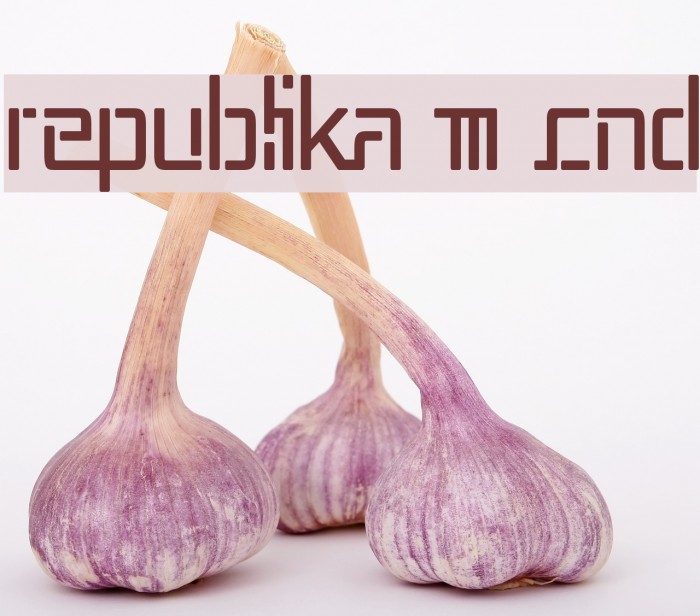 Republika III Cnd Schriftart examples