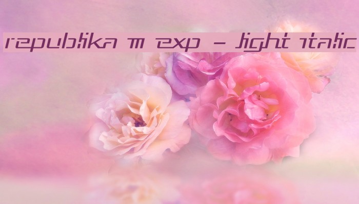Republika III Exp - Light Italic Example 1