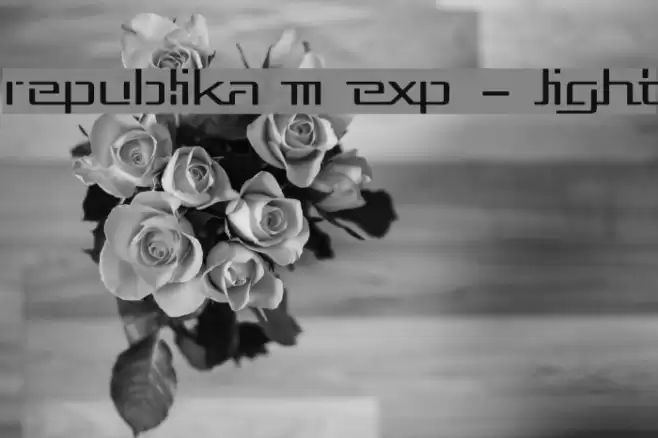 Republika III Exp - Light Font examples
