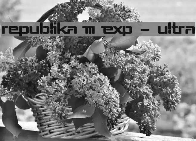 Republika III Exp - Ultra Font examples