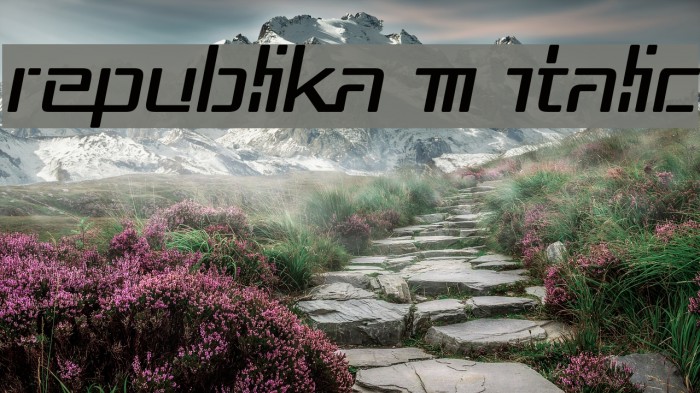 Republika III Italic Font examples