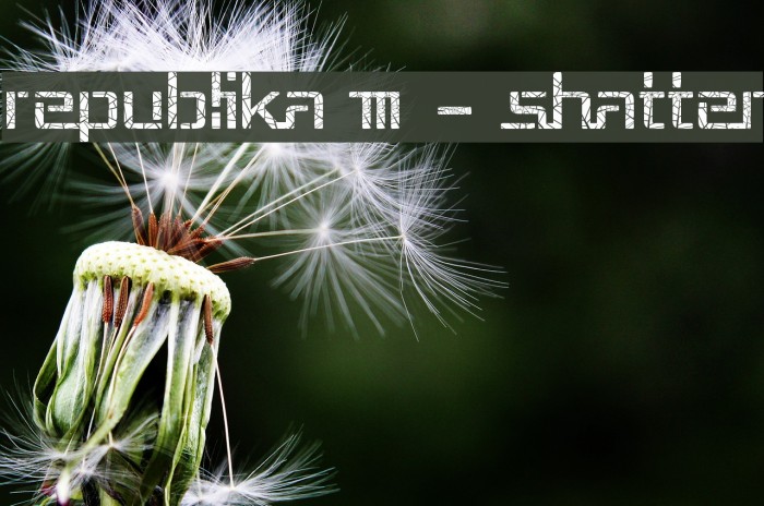 Republika III - Shatter Example 1