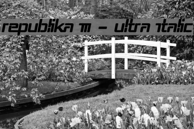 Republika III - Ultra Italic Font examples