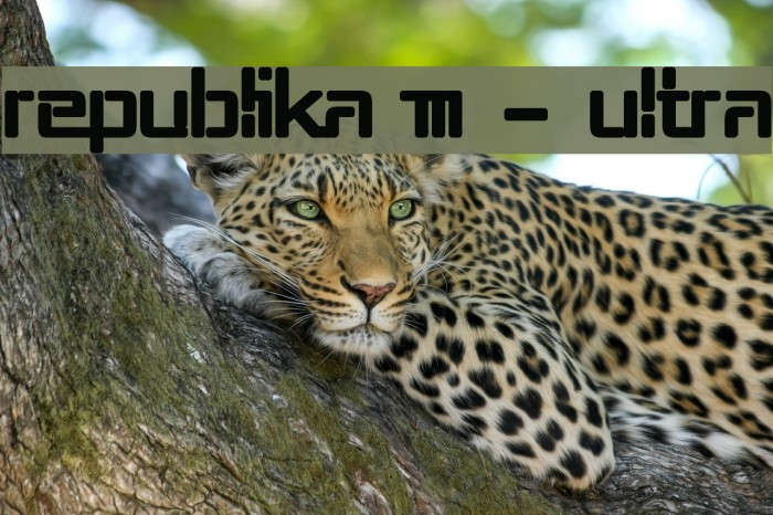 Republika III - Ultra Example 2