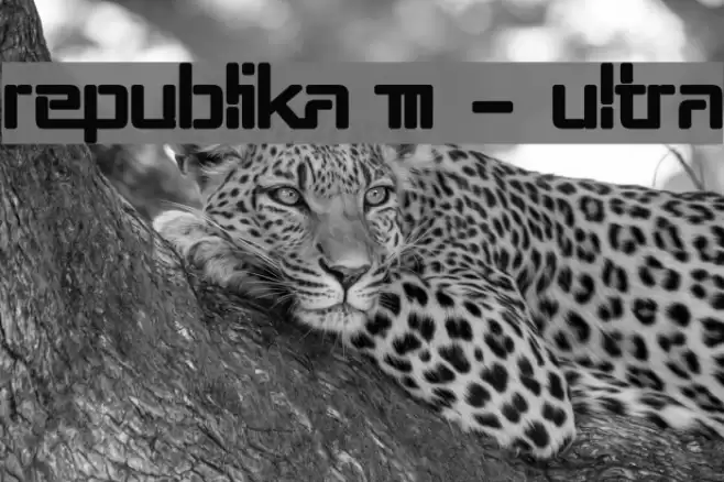 Republika III - Ultra Font examples