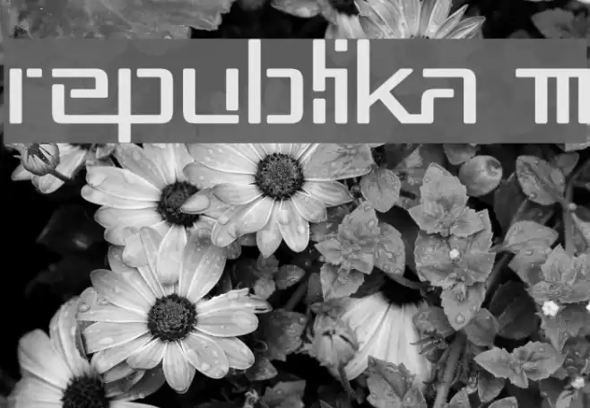 Republika III フォント examples