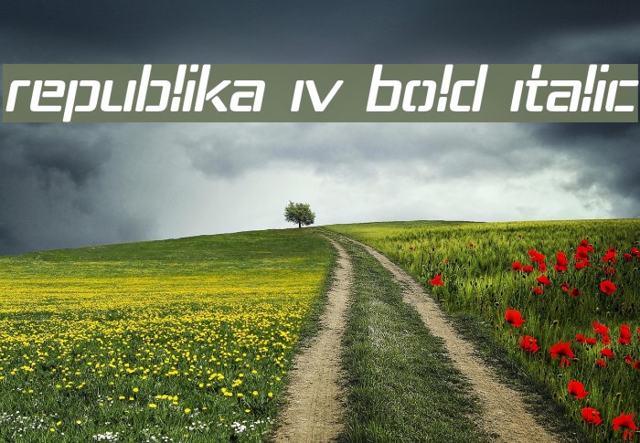Republika IV Bold Italic Example 3