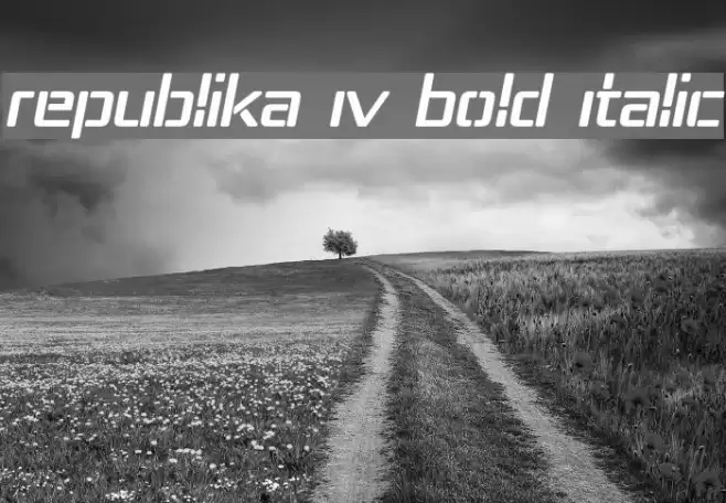 Republika IV Bold Italic Font examples