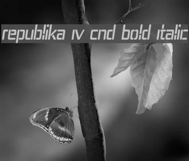 Republika IV Cnd Bold Italic Font examples