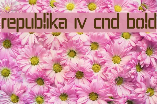 Republika IV Cnd Bold Example 2
