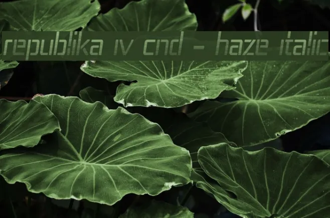 Republika IV Cnd - Haze Italic Example 1