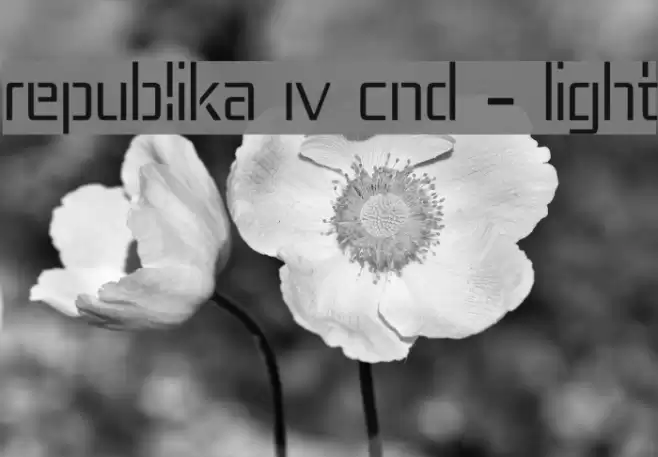 Republika IV Cnd - Light Font examples