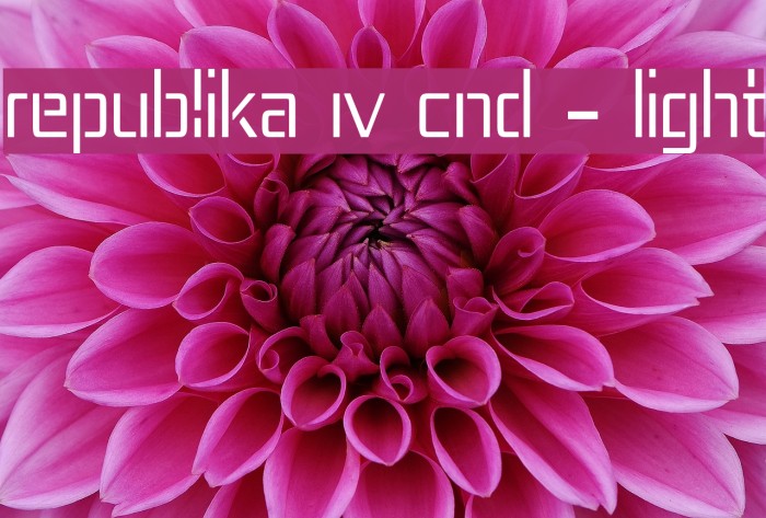 Republika IV Cnd - Light Font examples