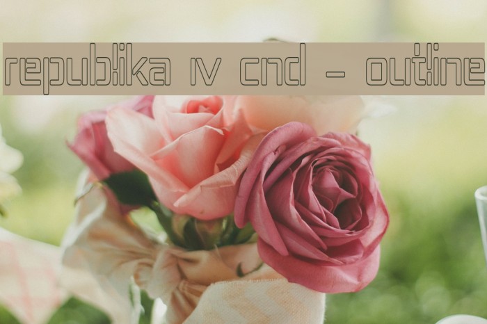 Republika IV Cnd - Outline Example 2