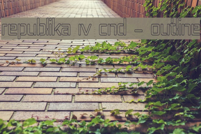 Republika IV Cnd - Outline Example 3