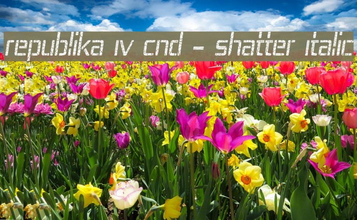 Republika IV Cnd - Shatter Italic Example 1