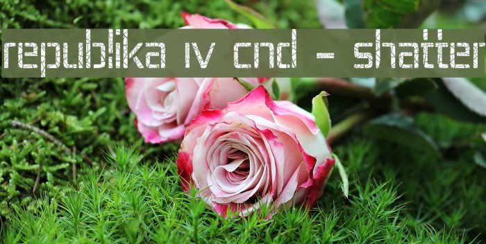 Republika IV Cnd - Shatter Font examples