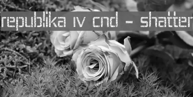Republika IV Cnd - Shatter Font examples