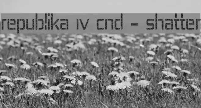 Republika IV Cnd - Shatter Font examples