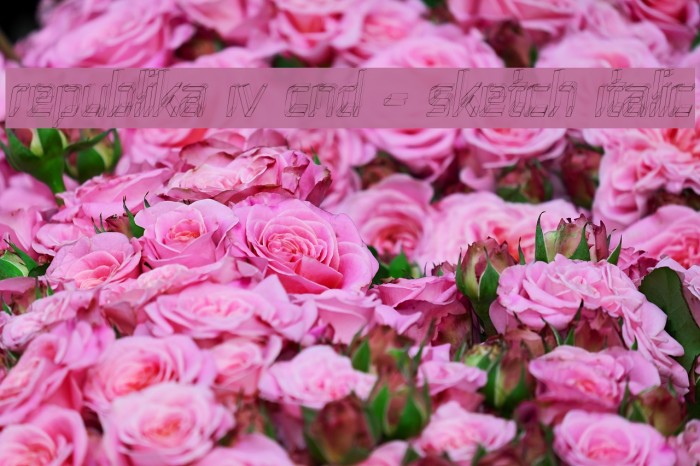 Republika IV Cnd - Sketch Italic Example 1