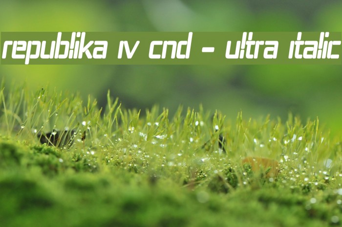 Republika IV Cnd - Ultra Italic Example 1