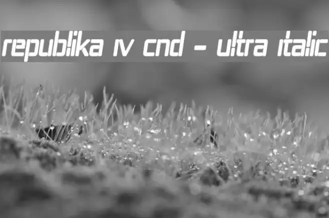 Republika IV Cnd - Ultra Italic Font examples