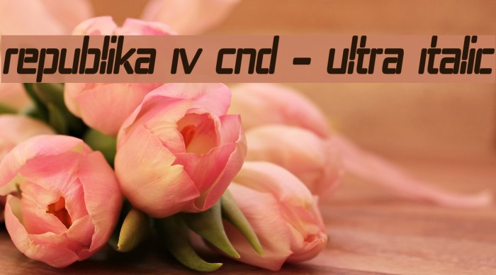 Republika IV Cnd - Ultra Italic Example 2