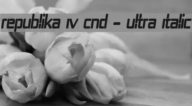 Republika IV Cnd - Ultra Italic Font examples
