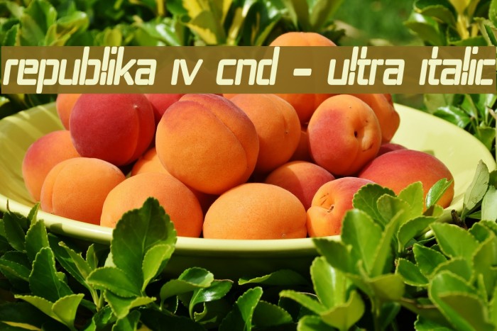 Republika IV Cnd - Ultra Italic Example 3