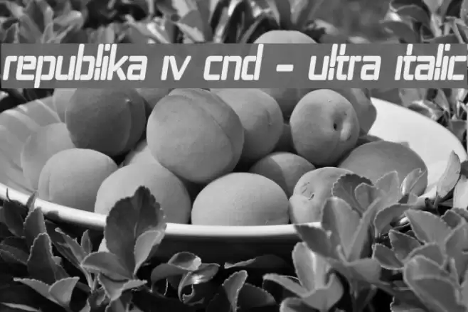 Republika IV Cnd - Ultra Italic Font examples