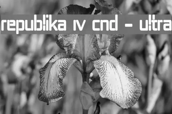 Republika IV Cnd - Ultra Font examples