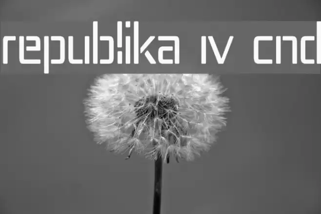Republika IV Cnd Schriftart examples