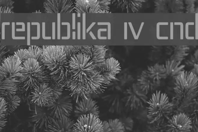 Republika IV Cnd Schriftart examples