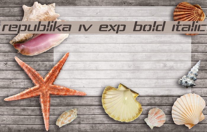 Republika IV Exp Bold Italic Font examples