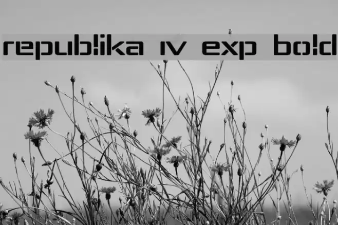 Republika IV Exp Bold Font examples