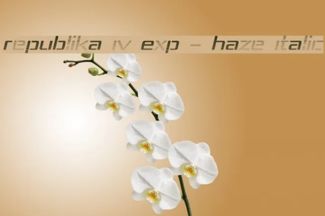 Republika IV Exp - Haze Italic Example 1