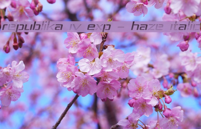 Republika IV Exp - Haze Italic Font examples