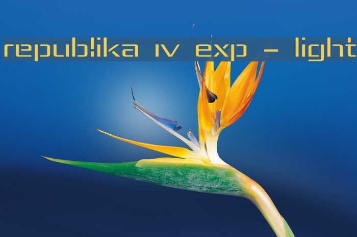 Republika IV Exp - Light Font examples