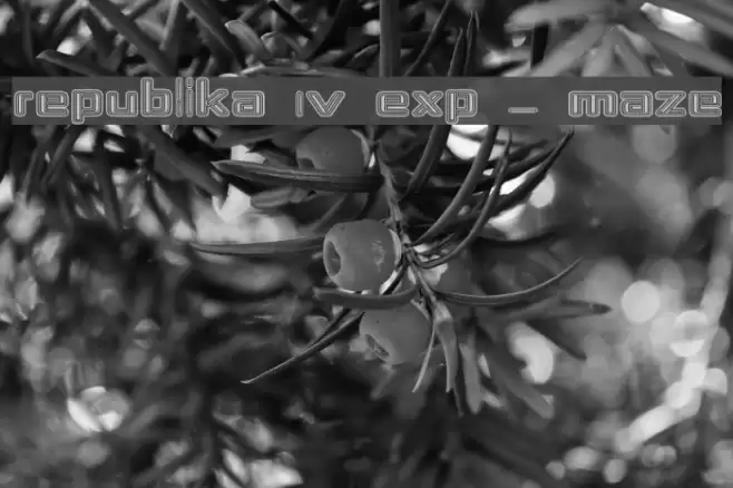 Republika IV Exp - Maze Font examples